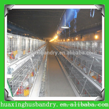 china professional new design plastic chicken cage